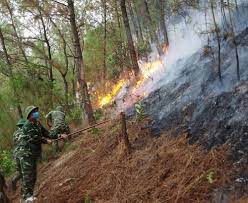 Cảnh báo cháy rừng cấp cực kỳ nguy hiểm